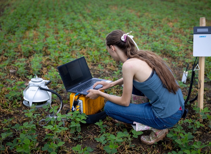 Woman working on a laptop at a research station on the Trent farm