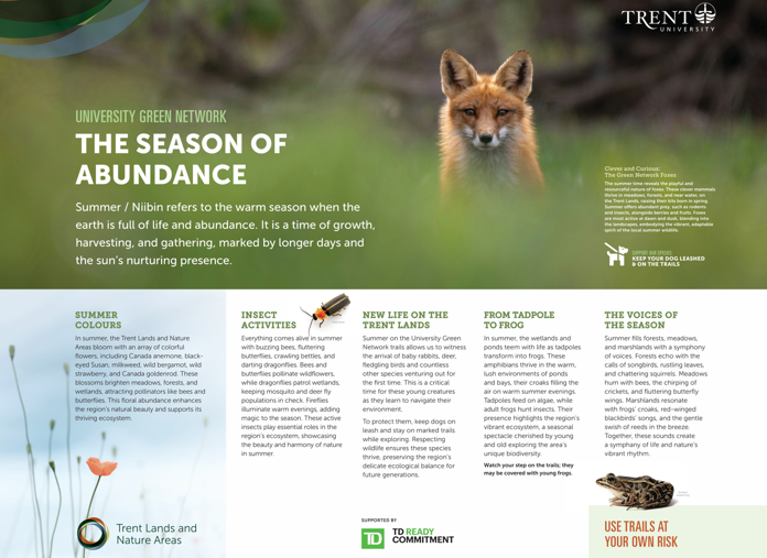 An example of one of the infographics seen at the trail in person.